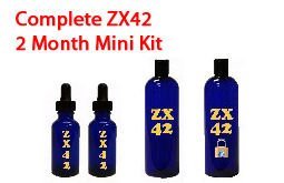 ZX42 two month Mini Kit