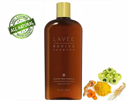 Lavée Organic Revive Rejuvinating Shampoo (8 oz) - Anti Hair Loss - Features organic complex of Ginseng, Tumeric, Amla Berry - Promote Hair Growth - Gluten Free, Sulfate Free, Paraben Free and Vegan